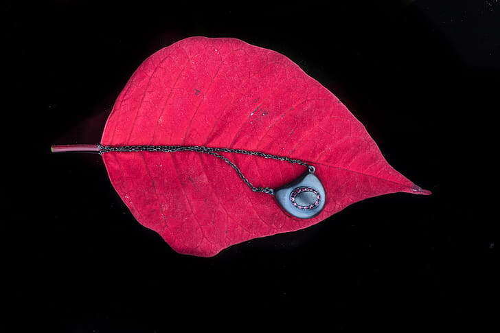 Leaf Oled , leaf, oled, graphy, dark, black wallpaper