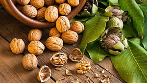 Walnuts, , Walnut backgrounds,  beautification wallpaper