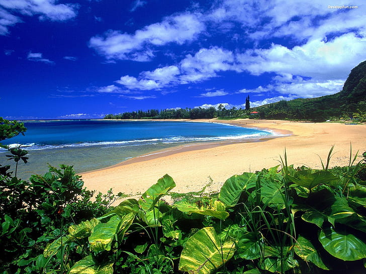 Beach wallpaper