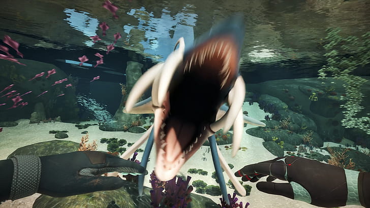 Shark wallpaper