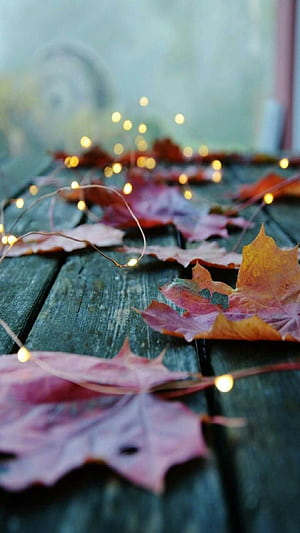 fall , Autumn phone wallpaper
