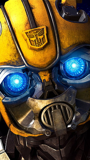 Close-up, Bumblebee phone wallpaper