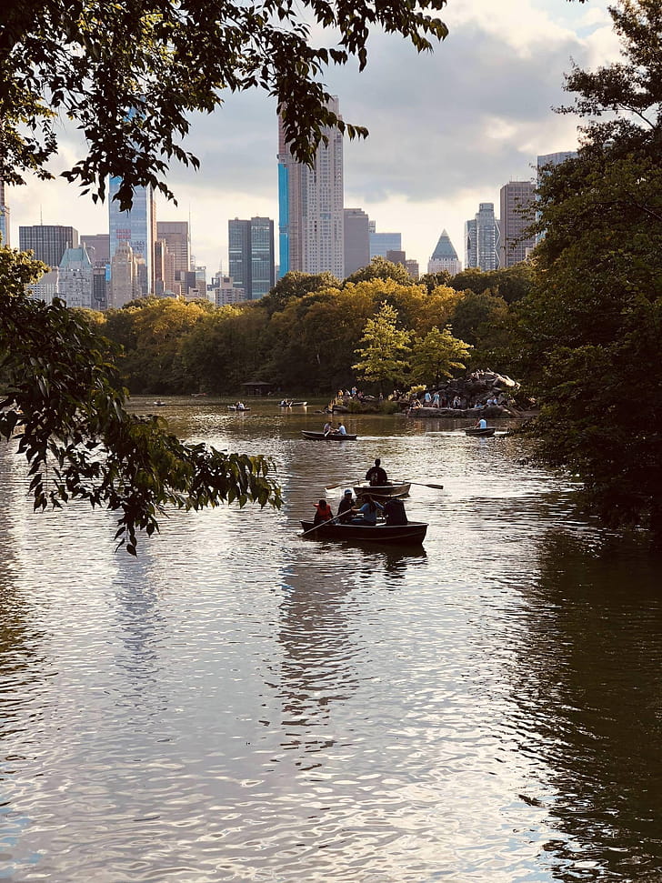 Central Park, Android phone wallpaper