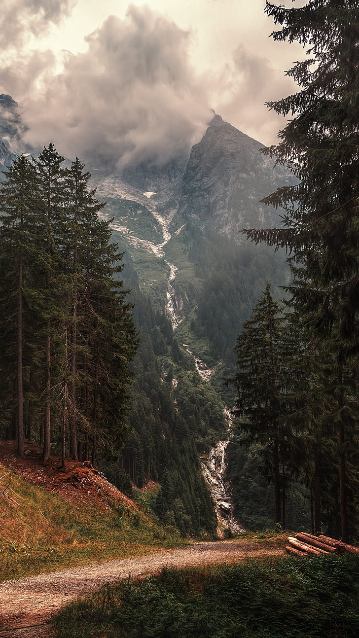 nature, path phone wallpaper