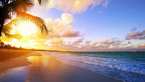 Beach, Sunrises wallpaper