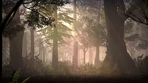Garry's Mod, High-definition , Visual diversity,  customization wallpaper