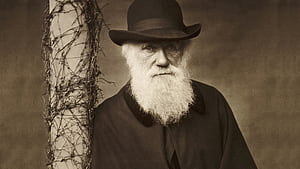 Charles Darwin, , , wallpaper