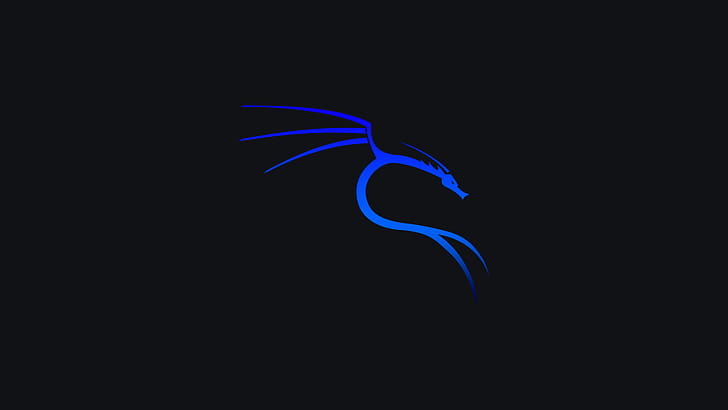 Kali Linux - Ocean, Kali Linux, .hack, Linux wallpaper