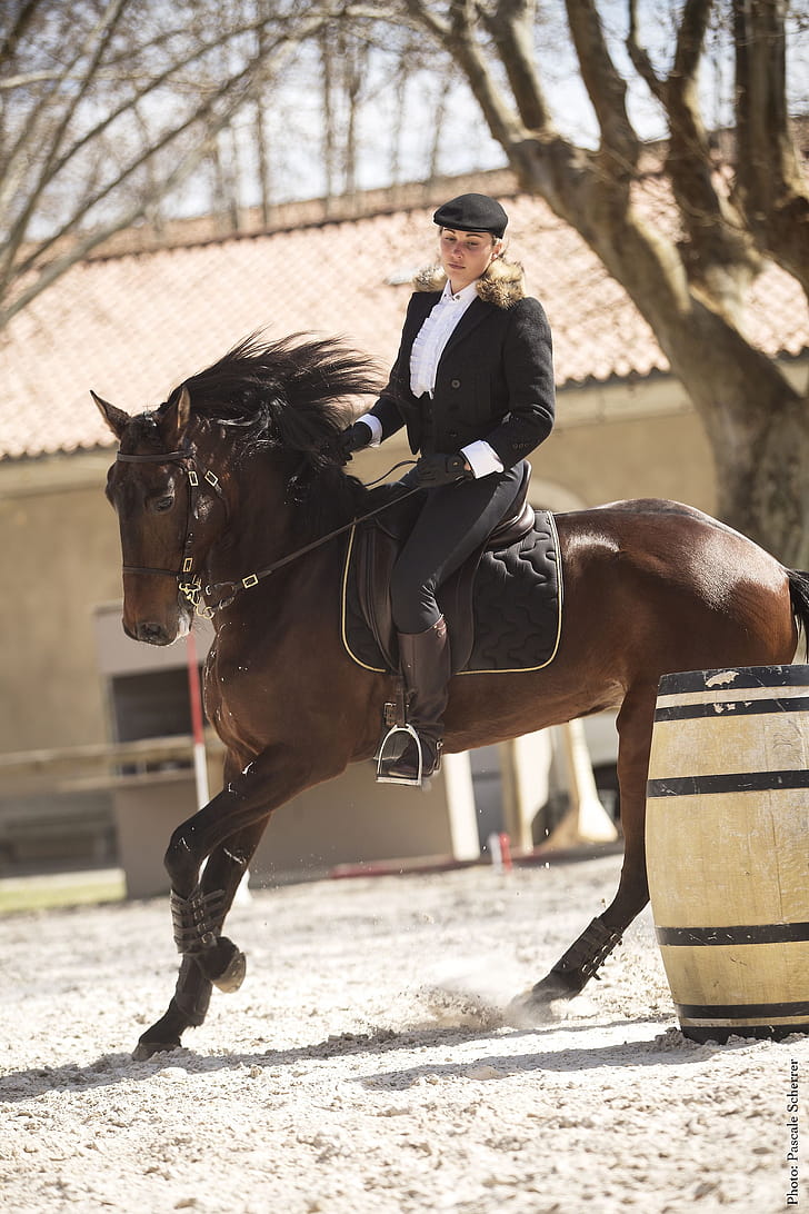 Classical riding, Equitation phone wallpaper