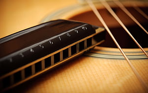 Harmonica, Top , Backgrounds wallpaper