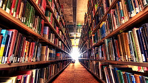 Library, Background, Interior, Study wallpaper