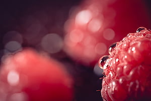 macro wallpaper