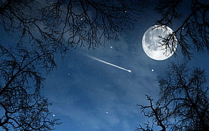 Moon, Space,  backgrounds, wallpaper