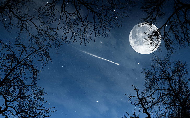 Moon, Space,  backgrounds, wallpaper