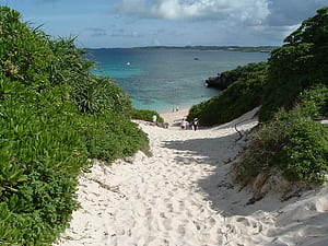 Wikimedia commons,  content, , Platform wallpaper