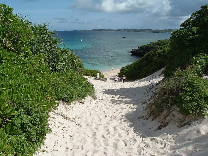 Wikimedia commons,  content, , Platform wallpaper