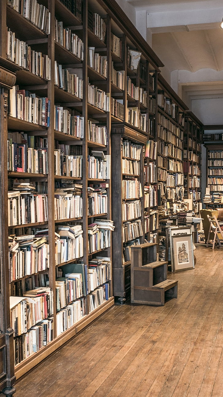 Man-Made, Library, Study, Interior phone wallpaper