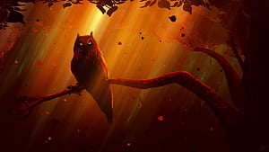 Owl I See You, owl, deviantart, artist, artwork, digital-art wallpaper