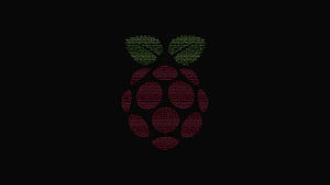 Raspberry Pi Computer Logo, raspberry-pi, computer, logo wallpaper