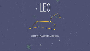 leo , wallpaper