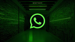 Whatsapp wallpaper