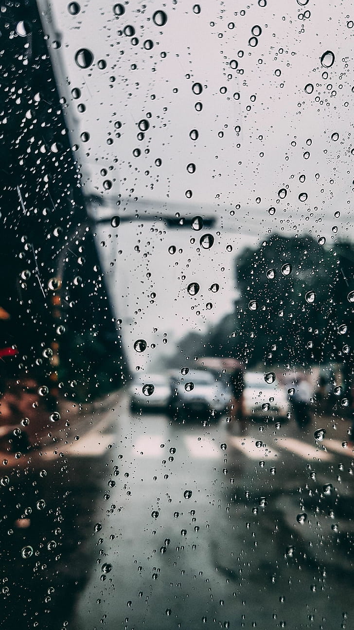 Drops, Rain phone wallpaper