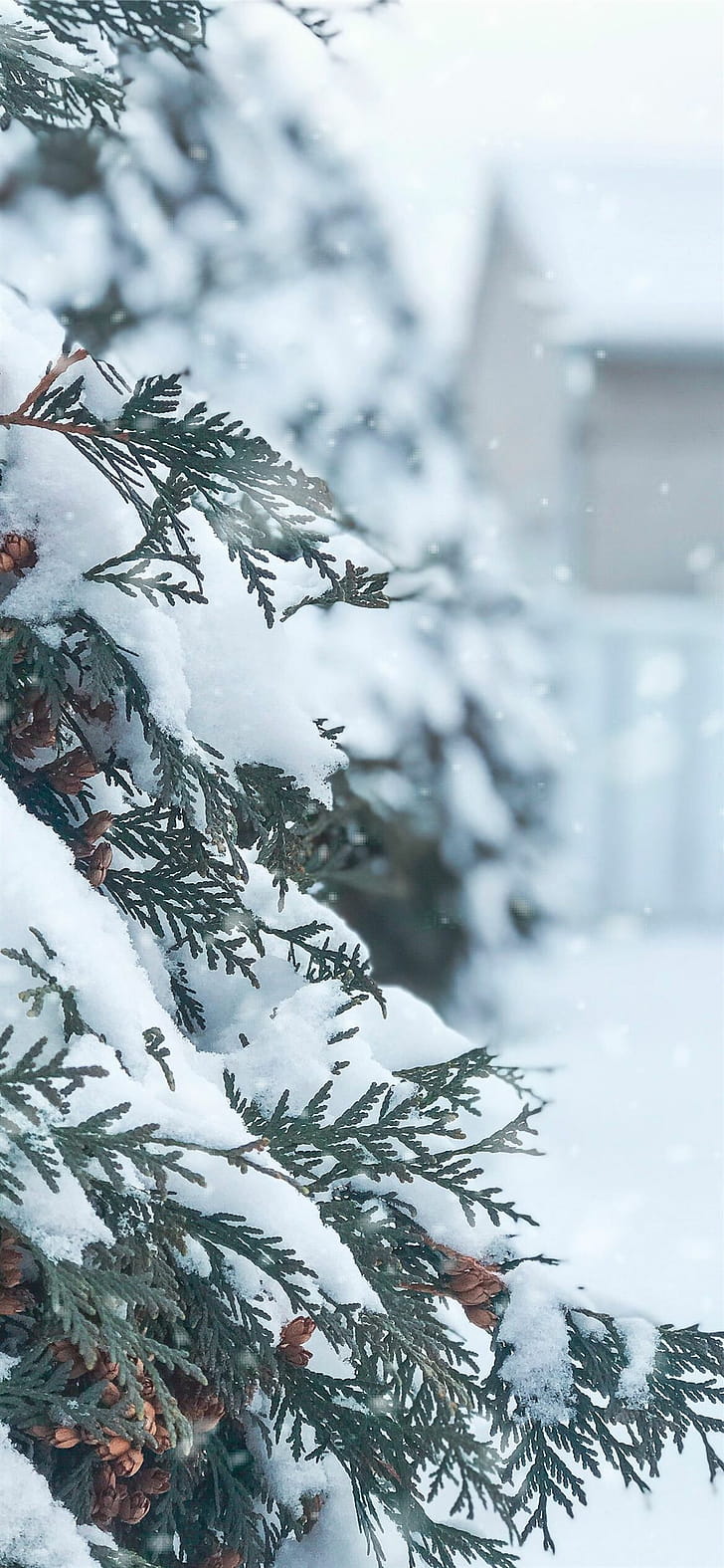 Winter iPhone 12 , phone wallpaper