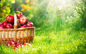 Most ed, Apple fruit , Computer , Fruit wallpaper